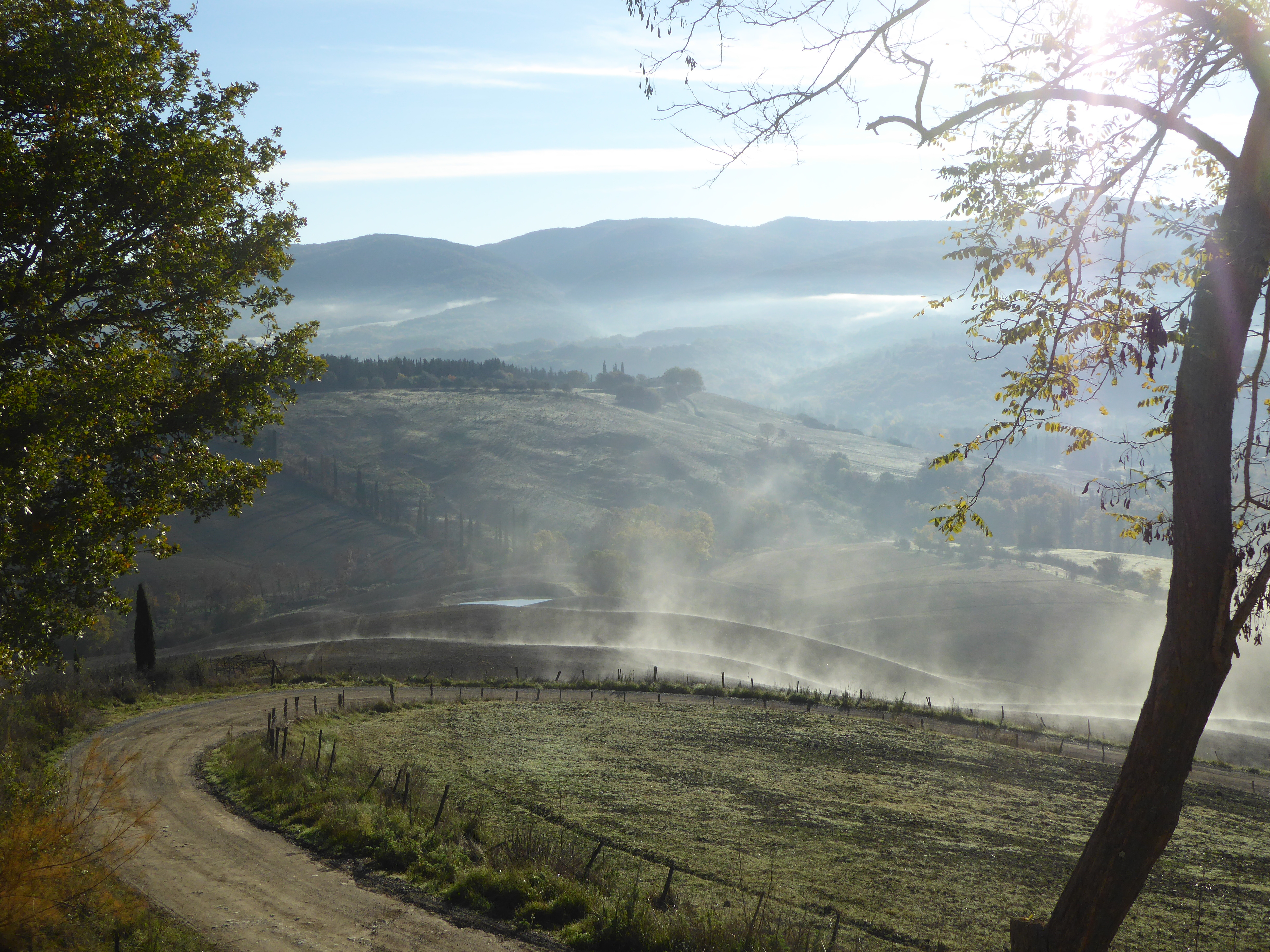 The Curious Incident of the Dog in the Night-Time_Village Theatre_Encore  Arts Seattle, image size:4896x3672